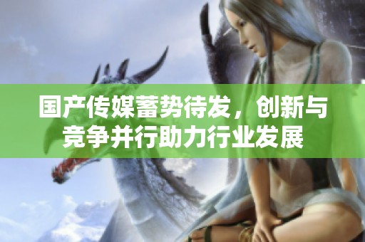 国产传媒蓄势待发，创新与竞争并行助力行业发展