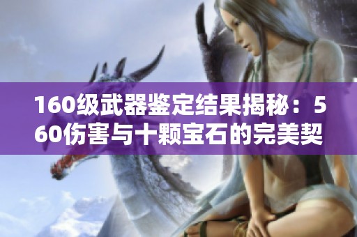 160级武器鉴定结果揭秘：560伤害与十颗宝石的完美契合