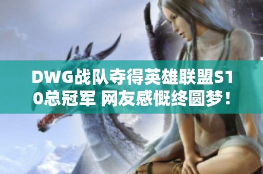 DWG战队夺得英雄联盟S10总冠军 网友感慨终圆梦！