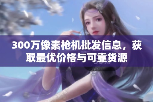 300万像素枪机批发信息，获取最优价格与可靠货源