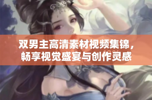 双男主高清素材视频集锦，畅享视觉盛宴与创作灵感