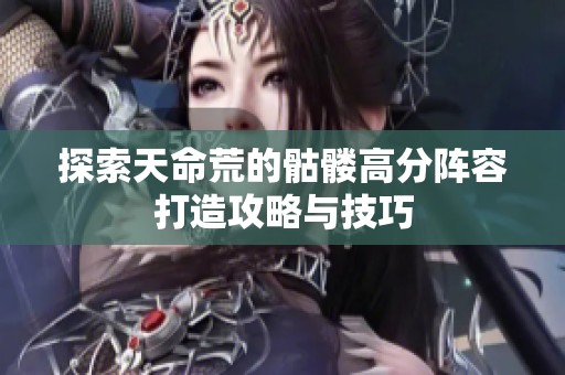 探索天命荒的骷髅高分阵容打造攻略与技巧