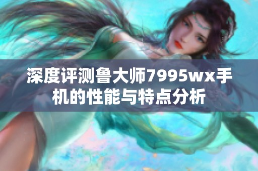 深度评测鲁大师7995wx手机的性能与特点分析
