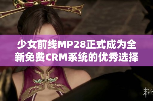 少女前线MP28正式成为全新免费CRM系统的优秀选择