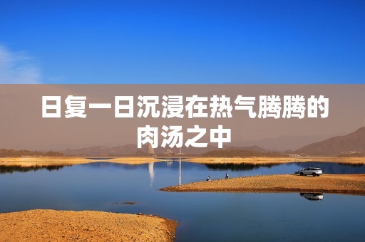 日复一日沉浸在热气腾腾的肉汤之中