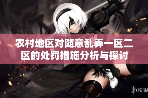 农村地区对随意乱弄一区二区的处罚措施分析与探讨