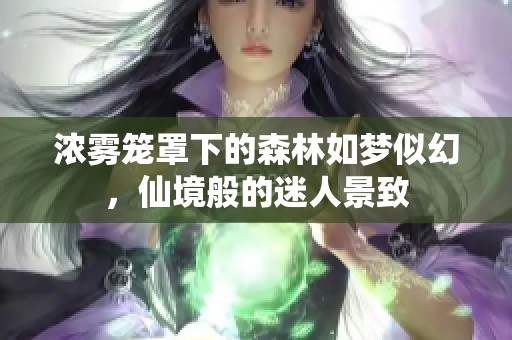 浓雾笼罩下的森林如梦似幻，仙境般的迷人景致