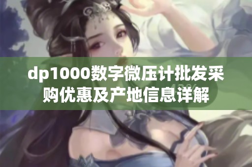 dp1000数字微压计批发采购优惠及产地信息详解