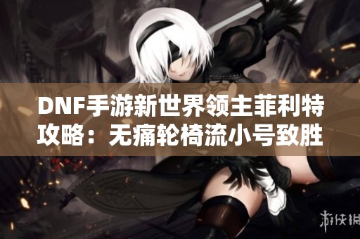 DNF手游新世界领主菲利特攻略：无痛轮椅流小号致胜秘籍