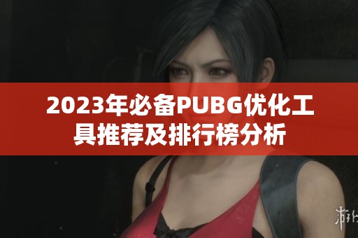 2023年必备PUBG优化工具推荐及排行榜分析