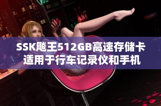 SSK飚王512GB高速存储卡 适用于行车记录仪和手机的最佳选择