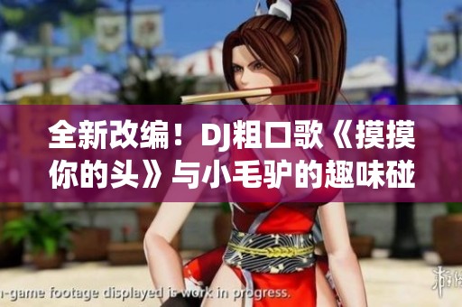 全新改编！DJ粗口歌《摸摸你的头》与小毛驴的趣味碰撞