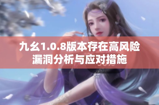 九幺1.0.8版本存在高风险漏洞分析与应对措施