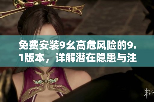 免费安装9幺高危风险的9.1版本，详解潜在隐患与注意事项