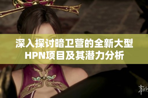 深入探讨暗卫营的全新大型HPN项目及其潜力分析