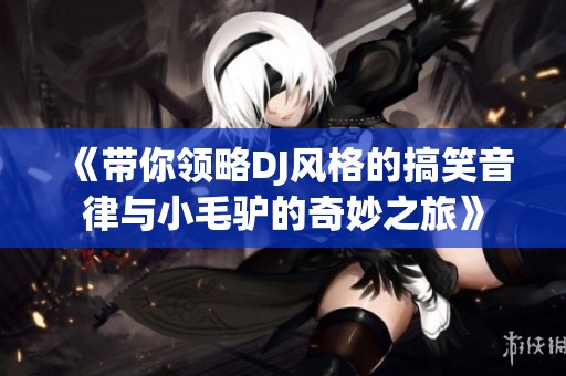 《带你领略DJ风格的搞笑音律与小毛驴的奇妙之旅》