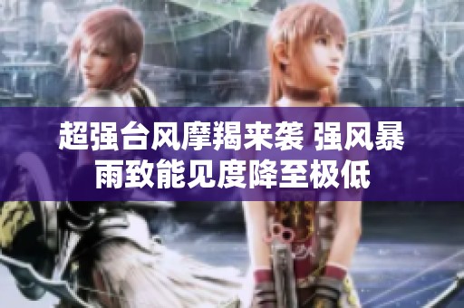 超强台风摩羯来袭 强风暴雨致能见度降至极低