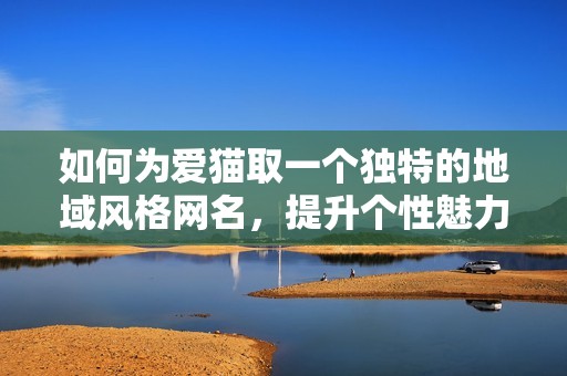 如何为爱猫取一个独特的地域风格网名，提升个性魅力