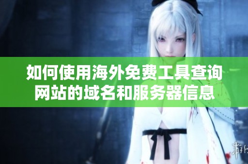 如何使用海外免费工具查询网站的域名和服务器信息