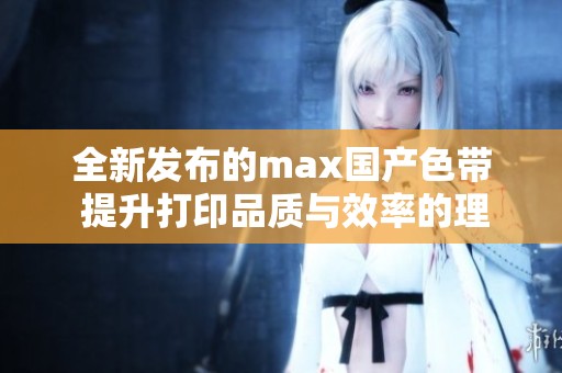 全新发布的max国产色带 提升打印品质与效率的理想选择