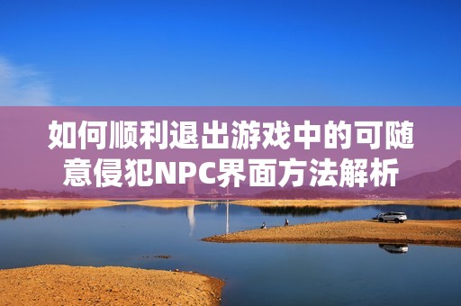 如何顺利退出游戏中的可随意侵犯NPC界面方法解析
