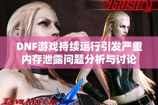 DNF游戏持续运行引发严重内存泄露问题分析与讨论