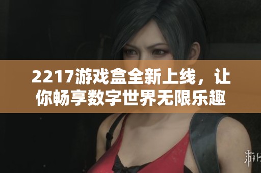 2217游戏盒全新上线，让你畅享数字世界无限乐趣