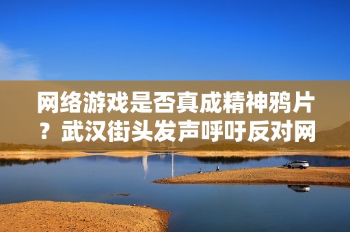 网络游戏是否真成精神鸦片？武汉街头发声呼吁反对网游