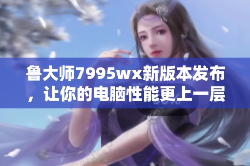 鲁大师7995wx新版本发布，让你的电脑性能更上一层楼