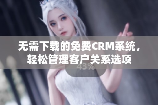 无需下载的免费CRM系统，轻松管理客户关系选项