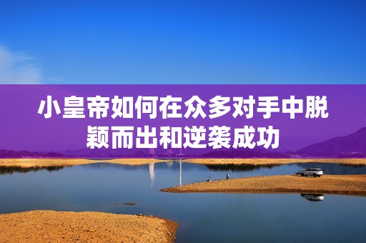 小皇帝如何在众多对手中脱颖而出和逆袭成功