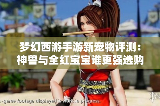 梦幻西游手游新宠物评测：神兽与全红宝宝谁更强选购指南