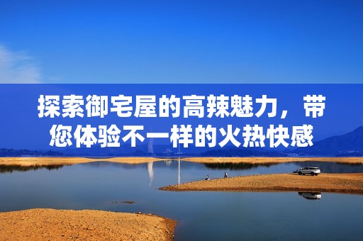 探索御宅屋的高辣魅力，带您体验不一样的火热快感