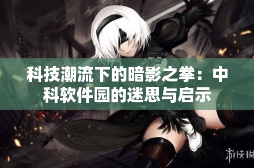 科技潮流下的暗影之拳：中科软件园的迷思与启示