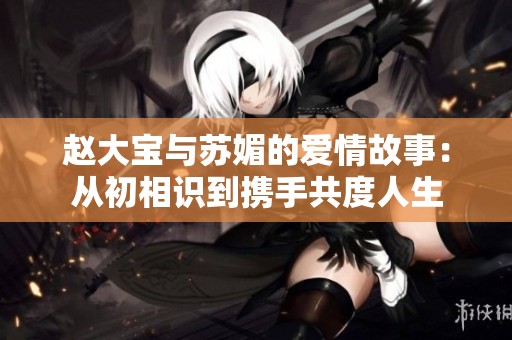 赵大宝与苏媚的爱情故事：从初相识到携手共度人生