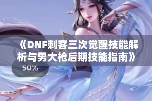 《DNF刺客三次觉醒技能解析与男大枪后期技能指南》