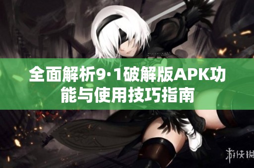 全面解析9·1破解版APK功能与使用技巧指南