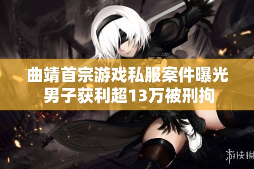 曲靖首宗游戏私服案件曝光 男子获利超13万被刑拘