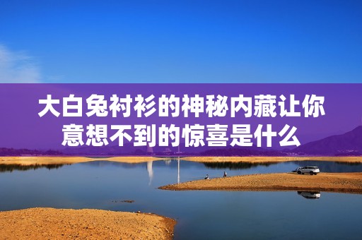 大白兔衬衫的神秘内藏让你意想不到的惊喜是什么