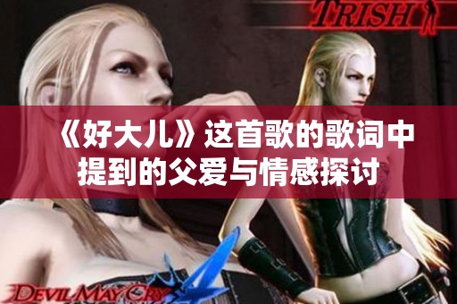 《好大儿》这首歌的歌词中提到的父爱与情感探讨