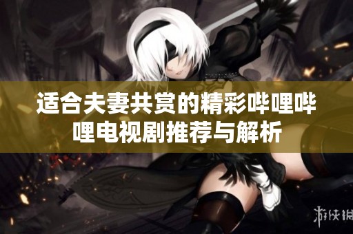适合夫妻共赏的精彩哔哩哔哩电视剧推荐与解析