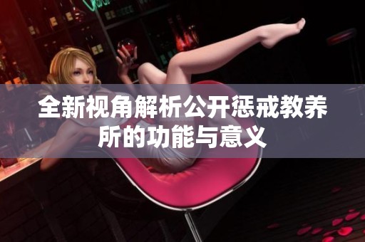 全新视角解析公开惩戒教养所的功能与意义