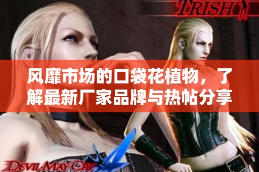 风靡市场的口袋花植物,了解最新厂家品牌与热帖分享 风靡市场的口袋花植物,了解最新厂家品牌与热帖分享