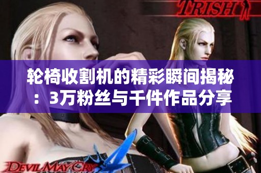 轮椅收割机的精彩瞬间揭秘：3万粉丝与千件作品分享游戏乐趣