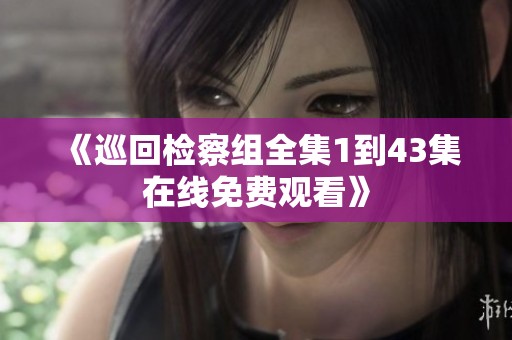 《巡回检察组全集1到43集在线免费观看》