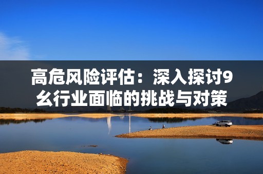 高危风险评估：深入探讨9幺行业面临的挑战与对策
