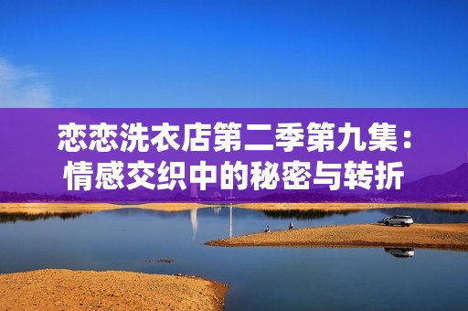 恋恋洗衣店第二季第九集：情感交织中的秘密与转折