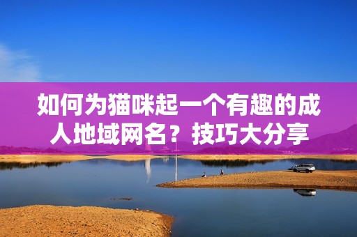 如何为猫咪起一个有趣的成人地域网名？技巧大分享