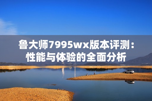 鲁大师7995wx版本评测：性能与体验的全面分析