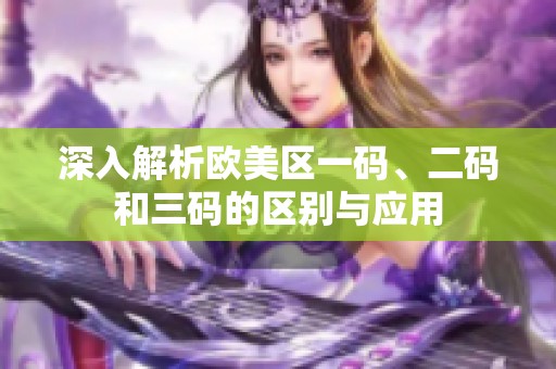 深入解析欧美区一码、二码和三码的区别与应用